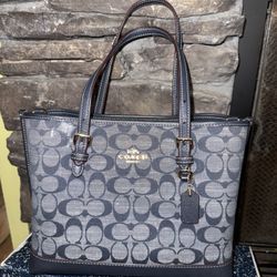 Coach Mollie Tote Bag