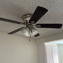 Ceiling fan