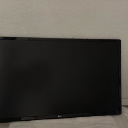 LG Monitor 