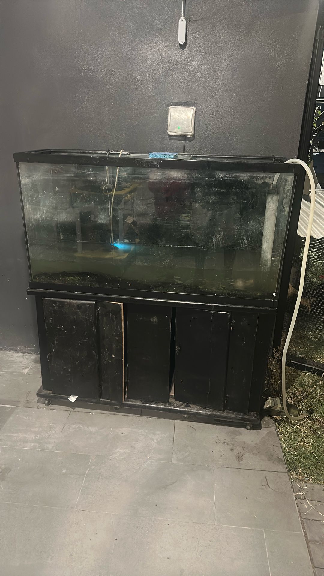 Huge Fish Tank