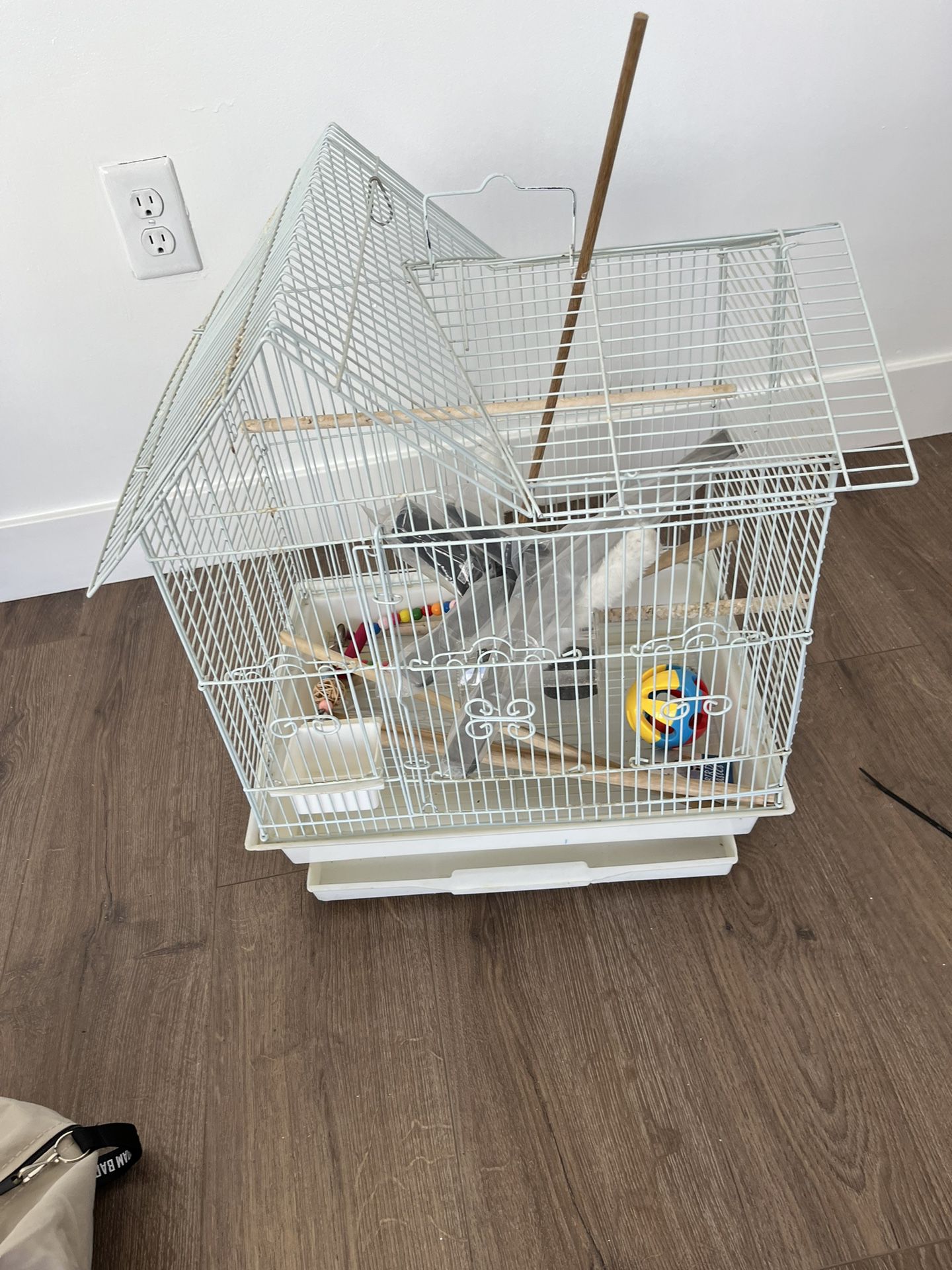 Bird cage with sticks and new toys