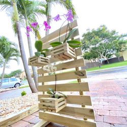 Custom Orchid Planters!