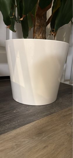 Large White Glossy Ceramic Plant Pot