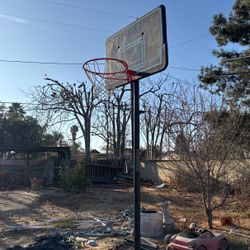 Basket Ball Hoop Lifetime