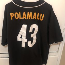 Pittsburgh Steelers Polamalu Mens Size XL Jersey 