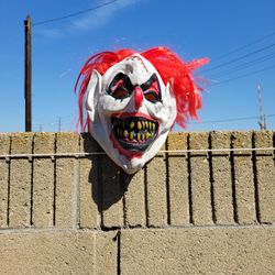 Clown Mask