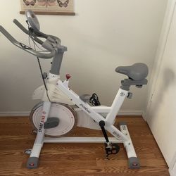 Indoor White Exercise Bike