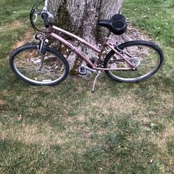 26” Cruiser bike