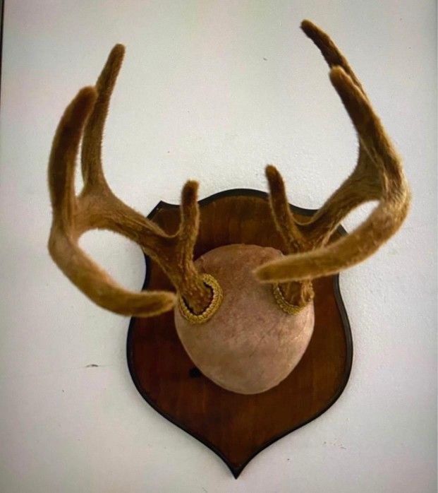 ADORNO ANTIGUO TARRO DE VENADO MONTADO EN MADERA