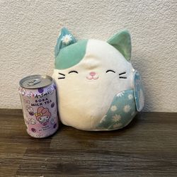 Squishmallow 