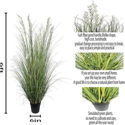 Artificial Plant 71in (6ft,2pack) Tall Artificial Grass Plant,Faux Plants Indoor Home Decorative Artificial Plants & Flowers in Pot Fake Plant, House 