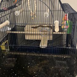 Cage With Bird