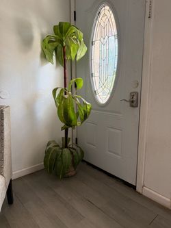 Artificial plant
