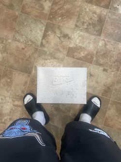 Nigel Sylvester Brick After Sz. 10.5