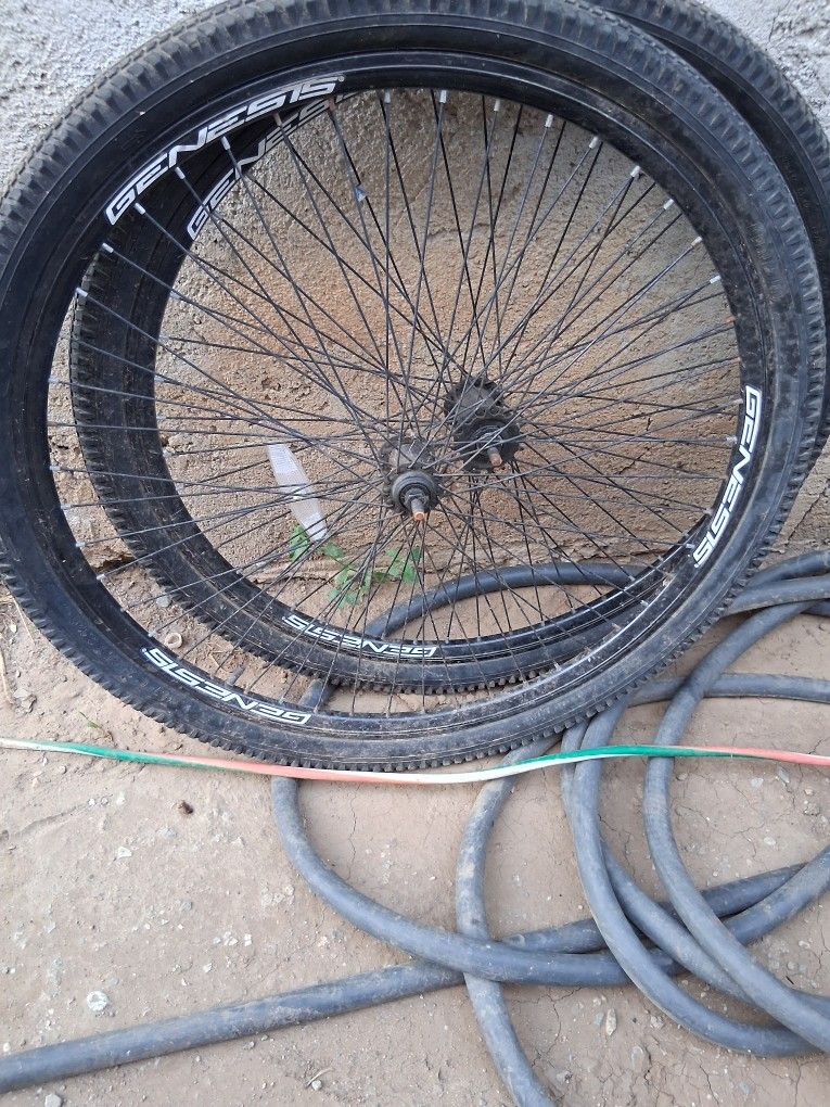 Genesis Two Bicycle Wheels