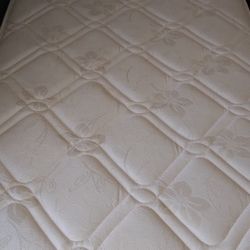 Twin (Mattress Only) 