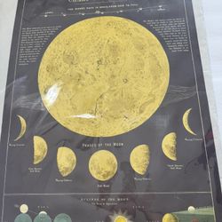 Phases Of The Moon Poster 