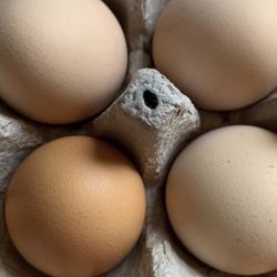 Huevos De Rancho/ Organic Eggs