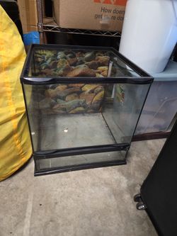 Terrarium