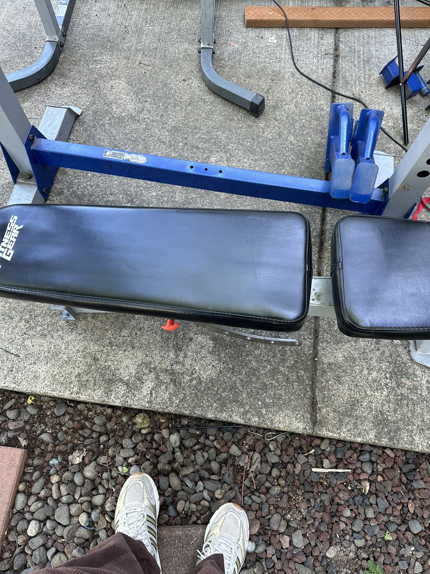 Gym Weights