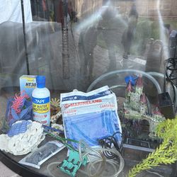 40 Gallon Bow Front Aquarium Full Setup