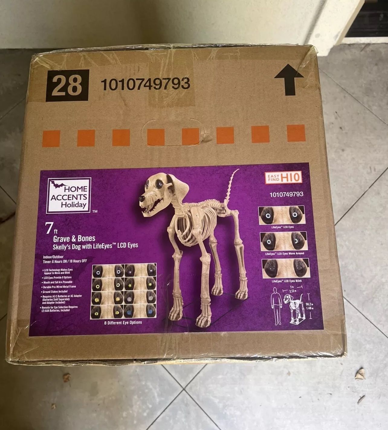Skeleton Dog Skelly’s Home Accent Home Depot Halloween 7ft
