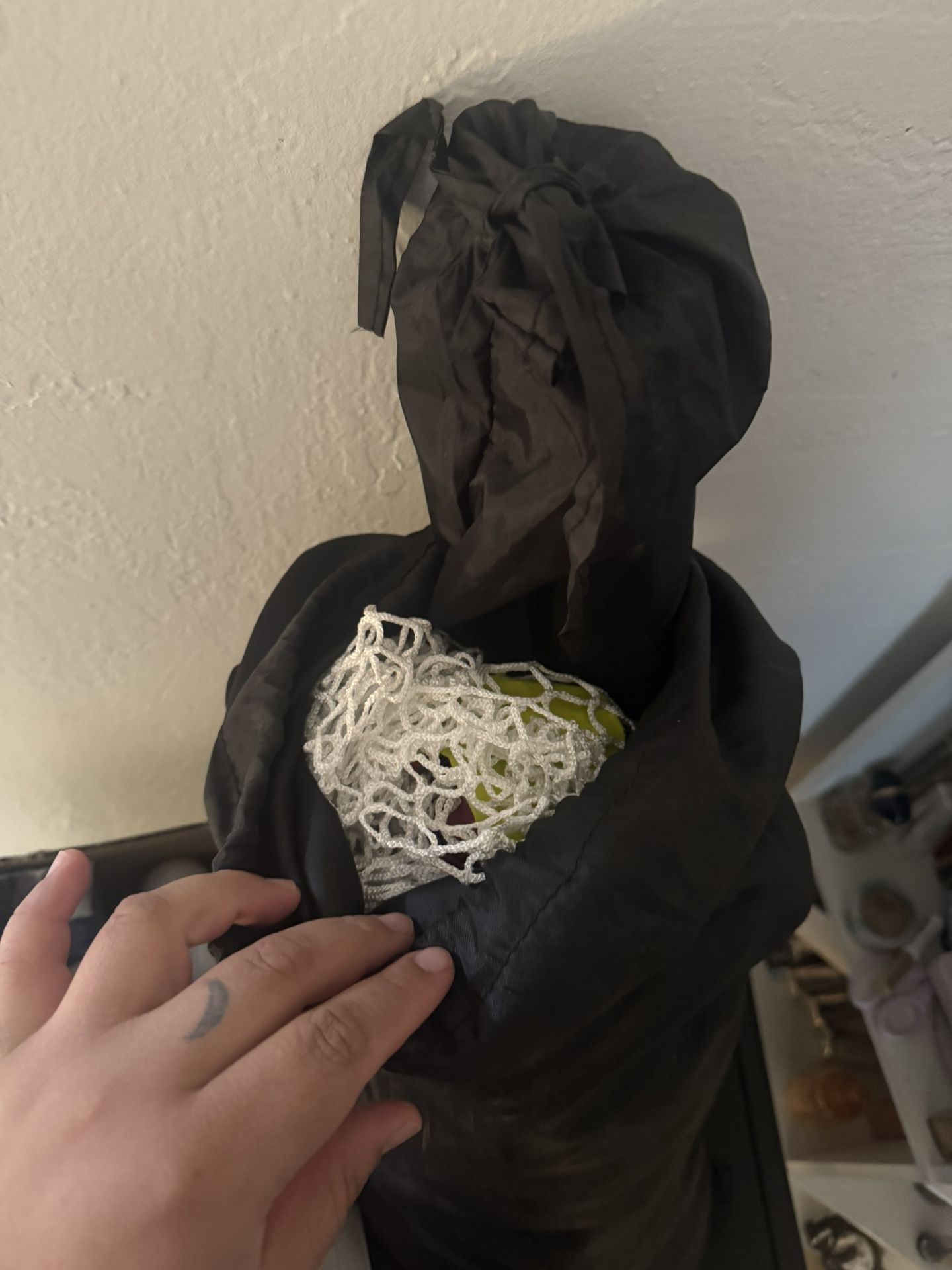 Golf Net