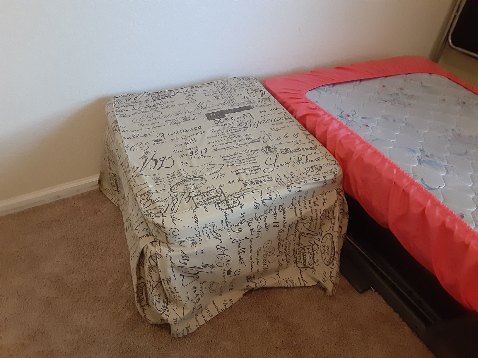 Ottoman & Fold Out Twin Bed