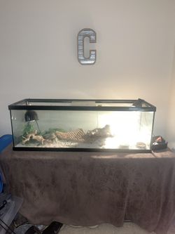 75 Gallon Tank