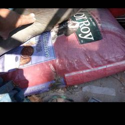 Dog Food $20 Np Less Yes I Still Have It