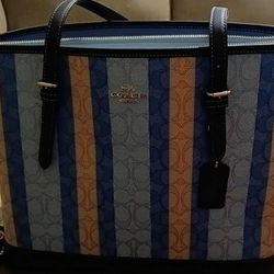 COACH BAG and SANDALS