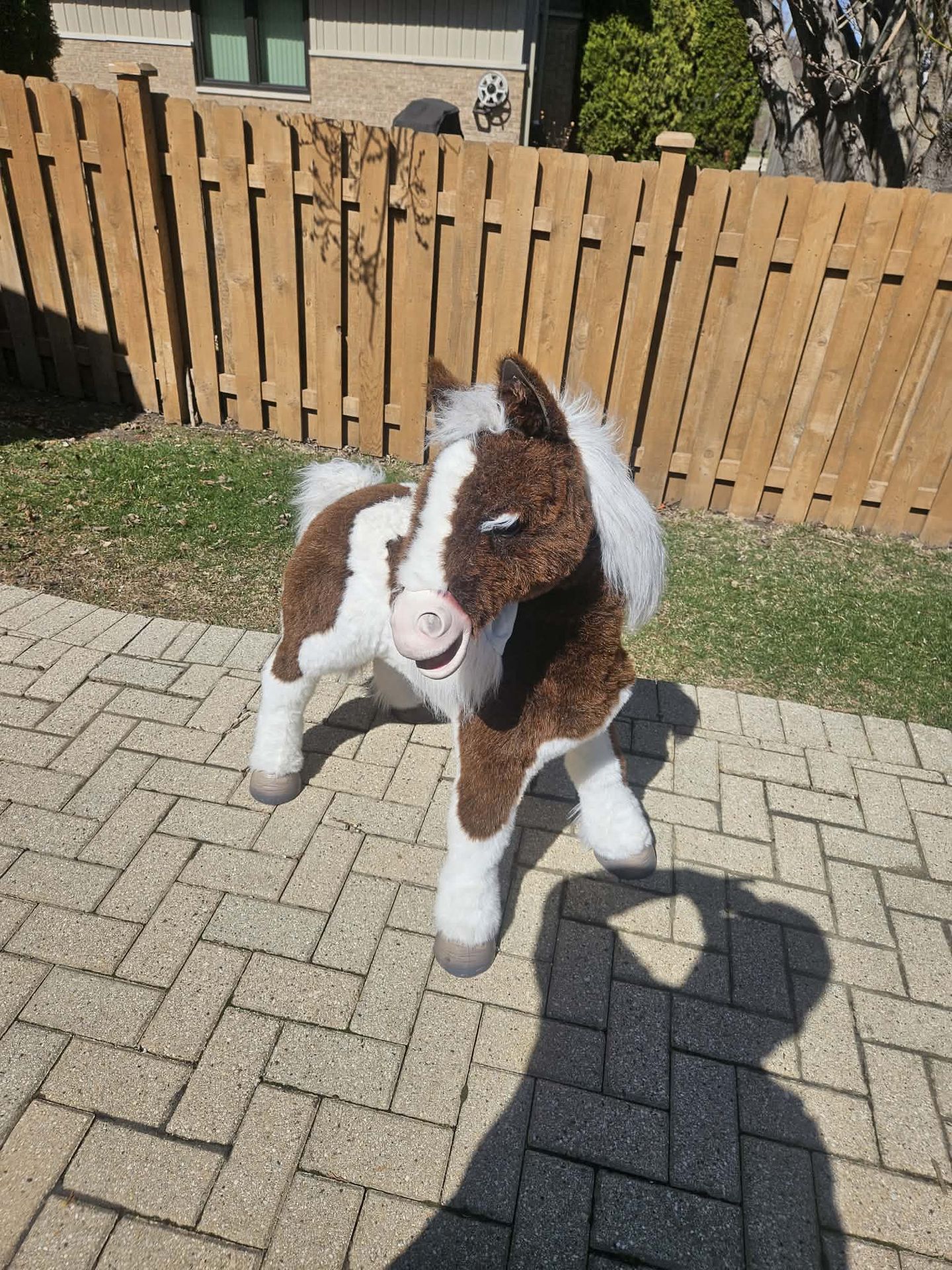 Hasbro furReal pony Best offer…!!