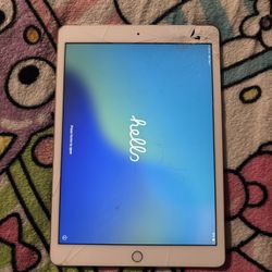 Apple Rose Gold iPad 