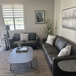 Copenhagen Sofa And loveseat