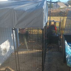 Outdoor Dog Kennel Brand New Still In Box 4 Ft Wide 8 Ft Long e