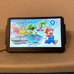 Portable Gaming Monitor Only 