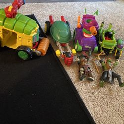 Ninja Turtle Lot