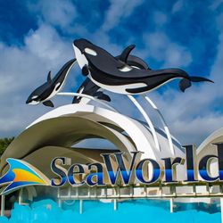SeaWorld Tickets 