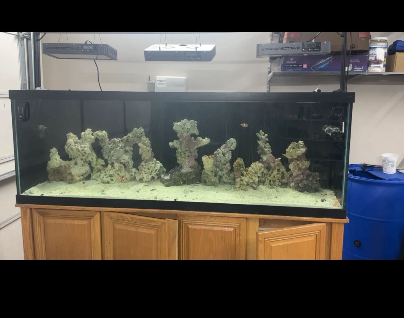 150g Tank, Stand And 40g Sump