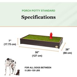 Standard Porch Potty For Small To Large Dogs!