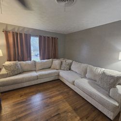 Large Chenille Sectional