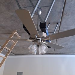 Ceiling Fan $50