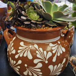 🪴💥Talavera Pot  With Natural Succulents Included 🪴💥12031 Firestone Blvd Norwalk CA 90650 