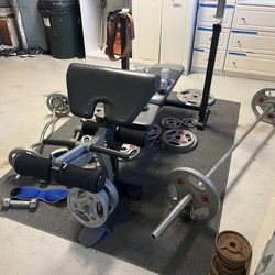 Free Weights/Weight Bench/Curl Bar/Dumb Bells