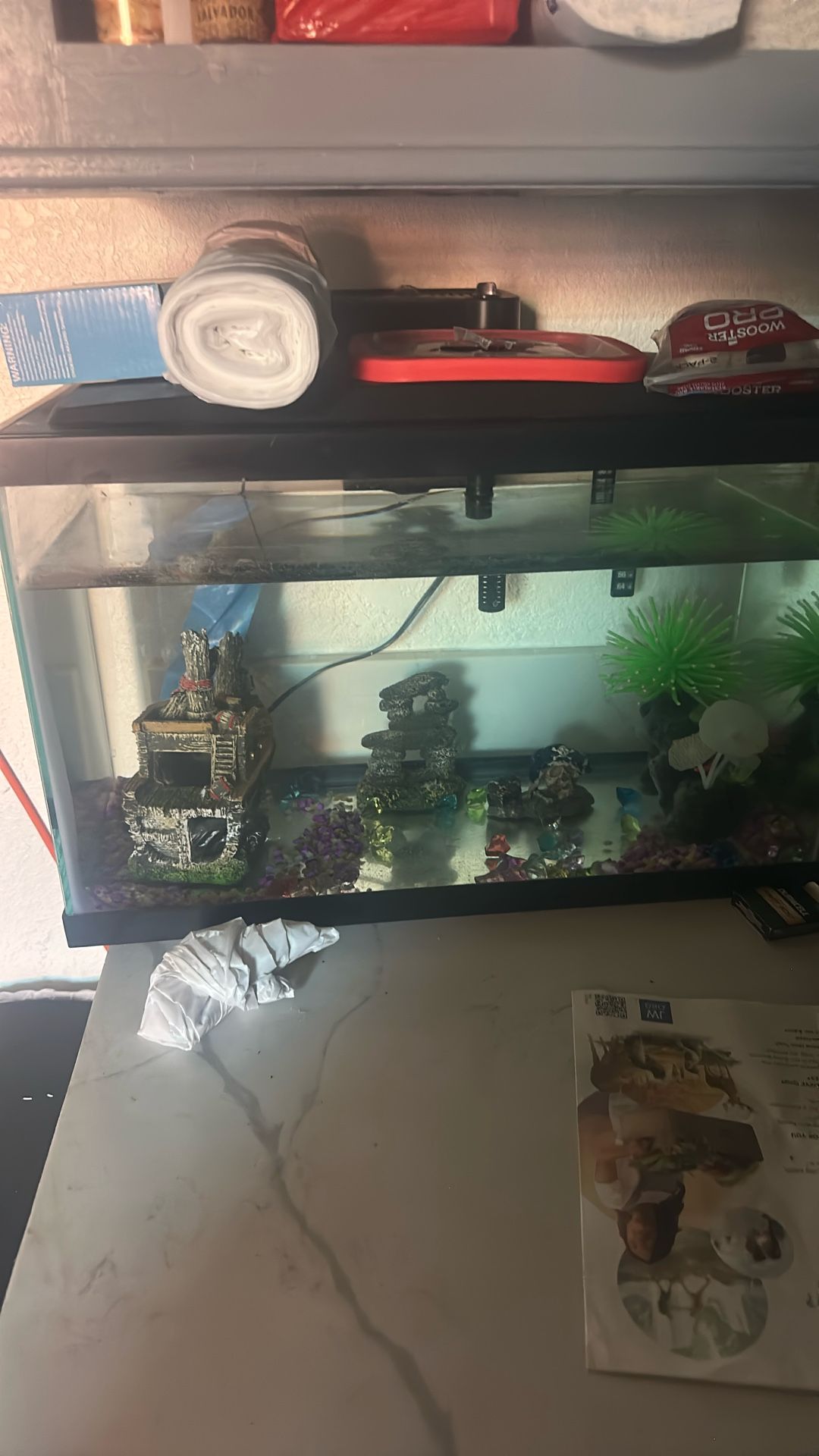 Fish Tank
