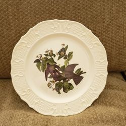 Birds Of America 10 Inch Plate