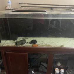 aquarium 180g And 120g