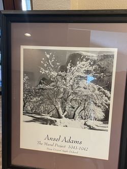 Ansel Adams - The Mural Project ( Framed Art )