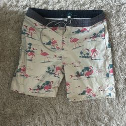 Rip Curl 32 Flamingo Board Shorts