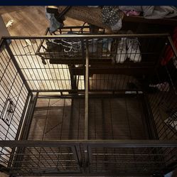 Dog Cage